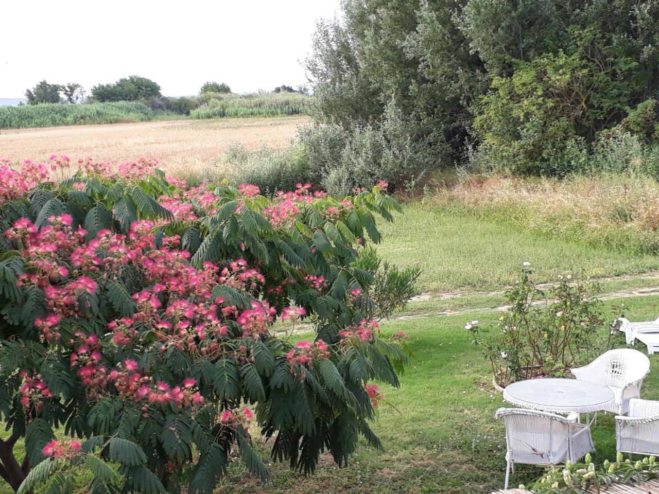 فندق Aux Roses De L'Etang كابيستانج المظهر الخارجي الصورة