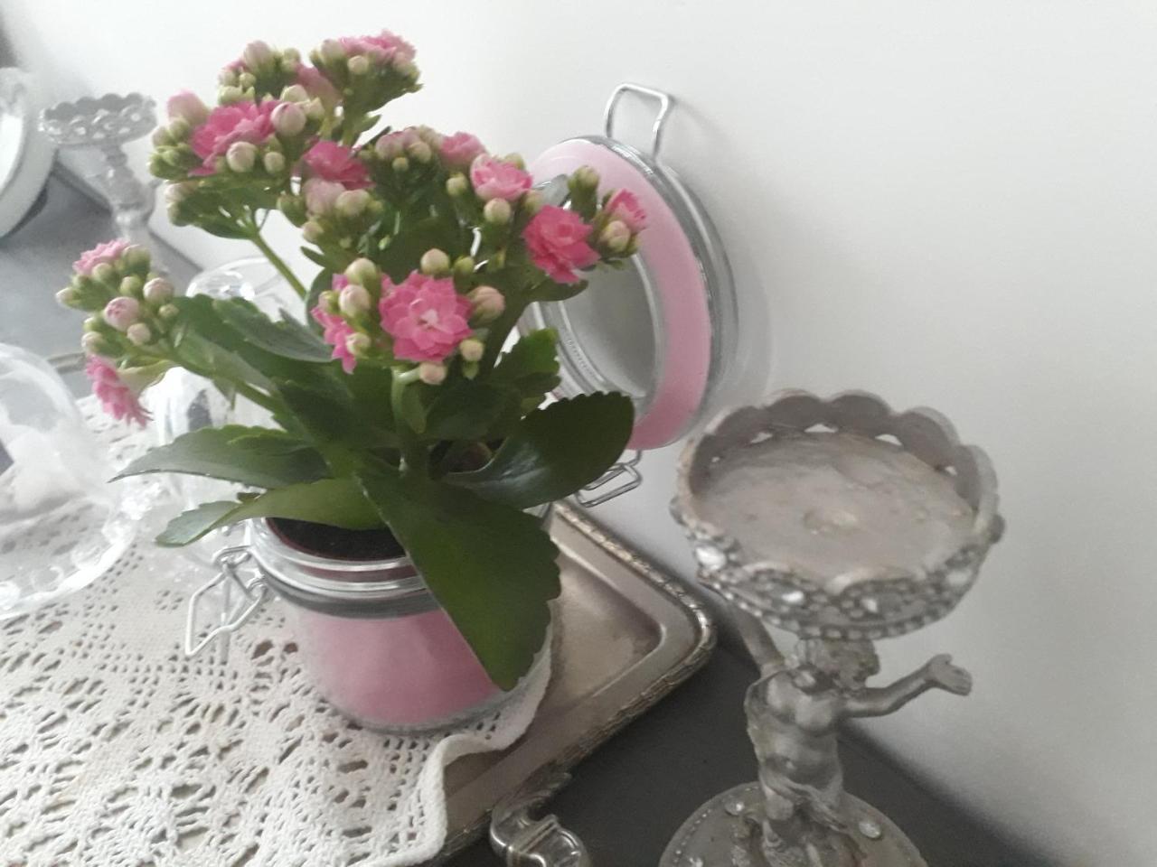 فندق Aux Roses De L'Etang كابيستانج المظهر الخارجي الصورة